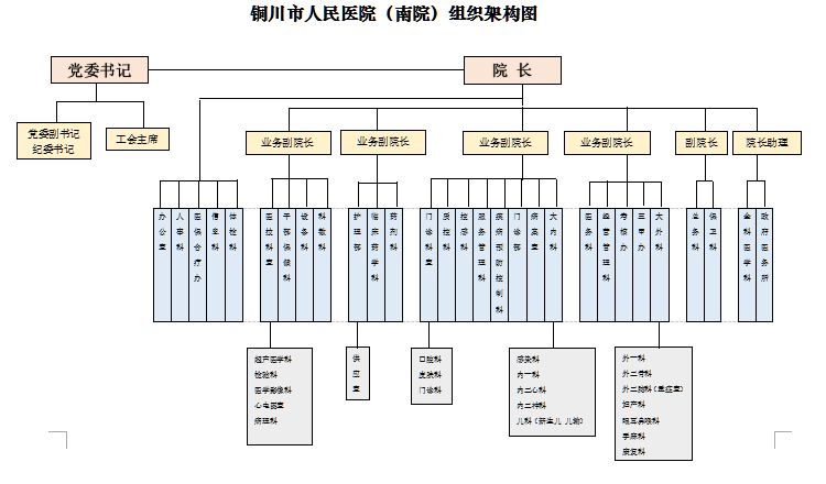 南院组织架构